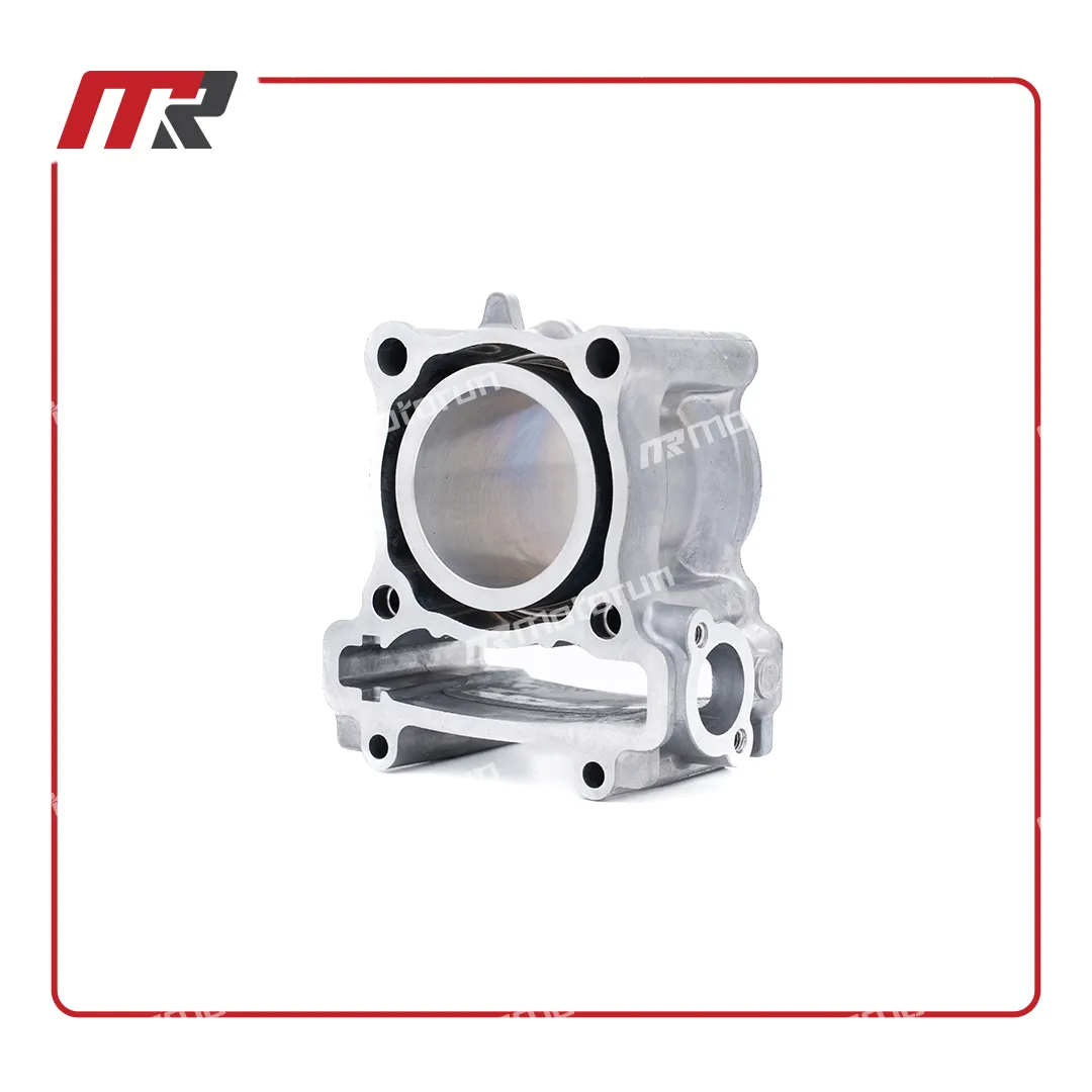 سیلندر MX KING 2022-2023 2PVE131110 سیلندر MX KING 2022-2023